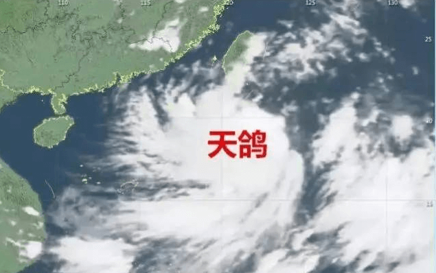 “天鸽”来临，因安装低质报警器损失10万